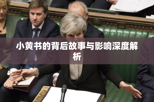 小黄书的背后故事与影响深度解析