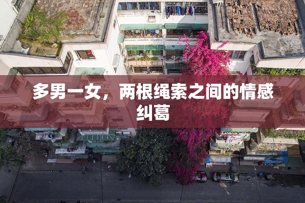 多男一女，两根绳索之间的情感纠葛