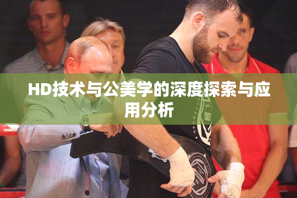 HD技术与公美学的深度探索与应用分析