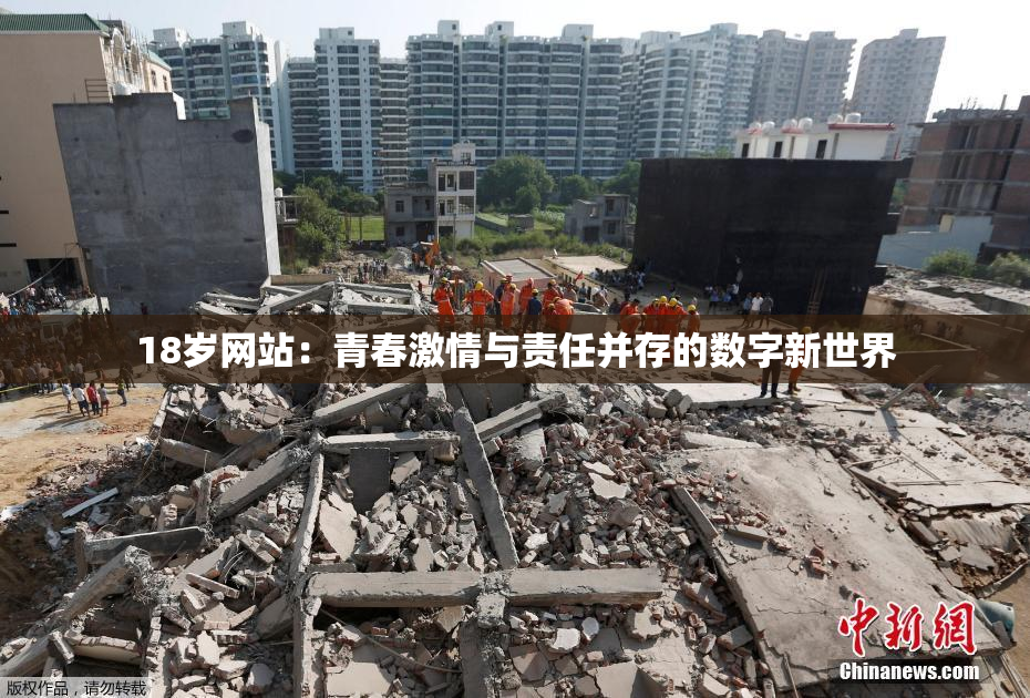18岁网站：青春激情与责任并存的数字新世界