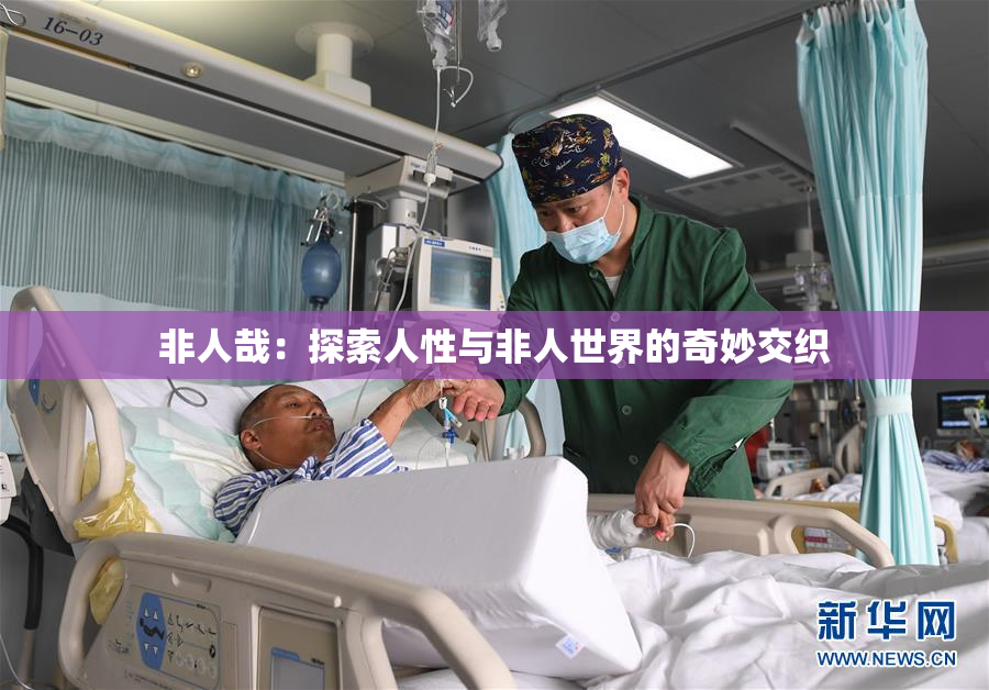 非人哉：探索人性与非人世界的奇妙交织