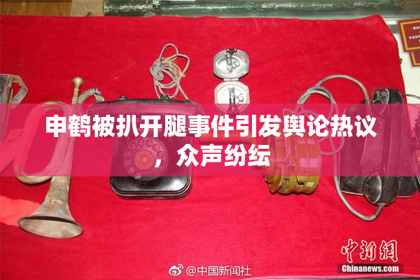 申鹤被扒开腿事件引发舆论热议，众声纷纭