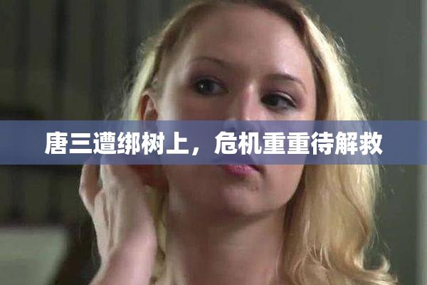 唐三遭绑树上，危机重重待解救