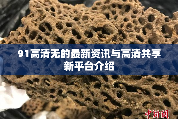 91高清无的最新资讯与高清共享新平台介绍