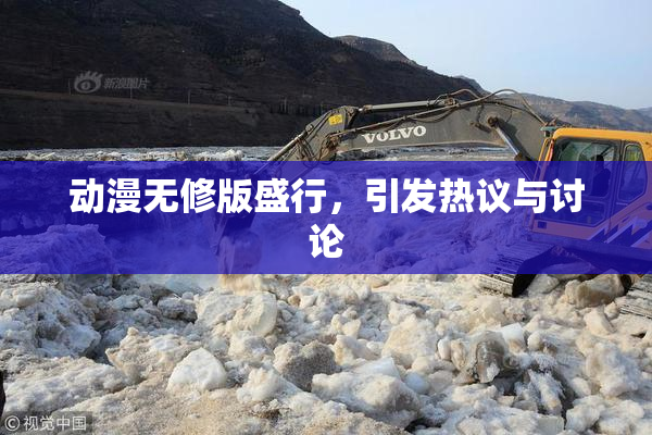 动漫无修版盛行，引发热议与讨论