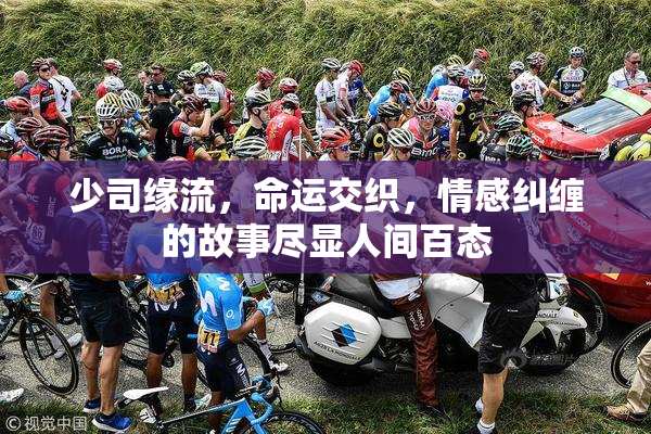 少司缘流，命运交织，情感纠缠的故事尽显人间百态