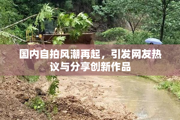 国内自拍风潮再起，引发网友热议与分享创新作品