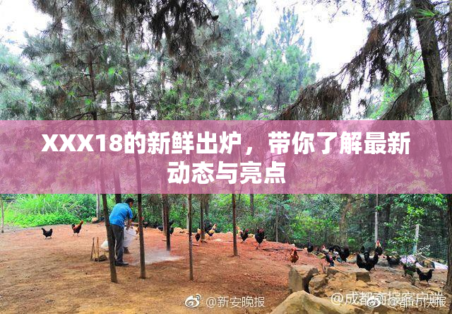 XXX18的新鲜出炉，带你了解最新动态与亮点