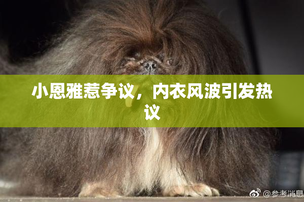 小恩雅惹争议，内衣风波引发热议