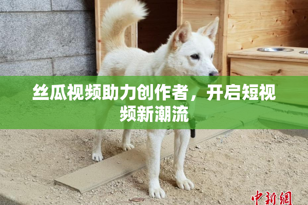 丝瓜视频助力创作者，开启短视频新潮流
