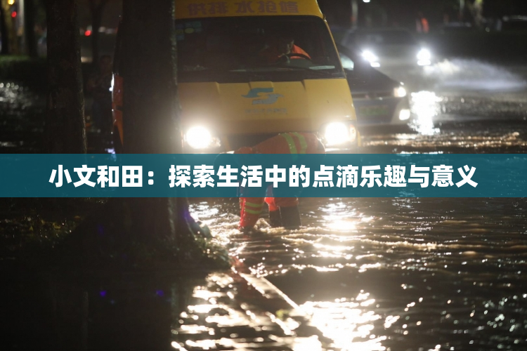 小文和田：探索生活中的点滴乐趣与意义
