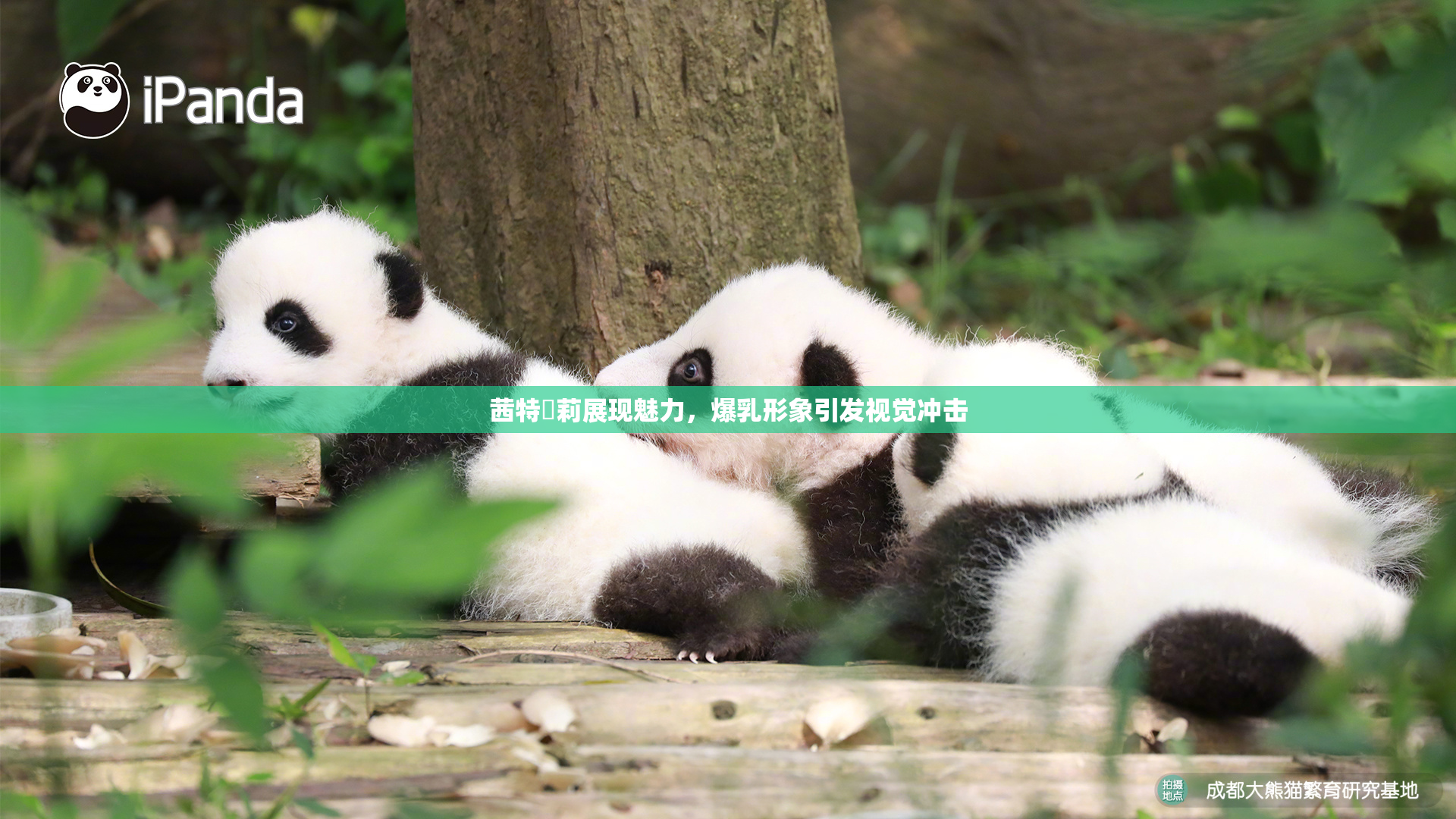茜特菈莉展现魅力，爆乳形象引发视觉冲击