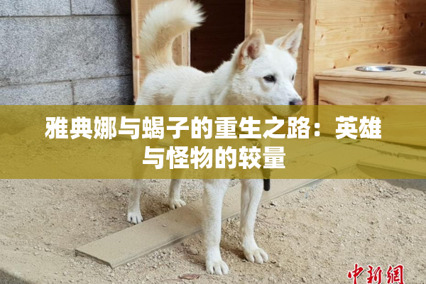 雅典娜与蝎子的重生之路：英雄与怪物的较量