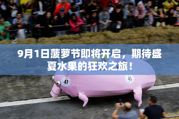 9月1日菠萝节即将开启，期待盛夏水果的狂欢之旅！