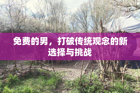 免费的男，打破传统观念的新选择与挑战
