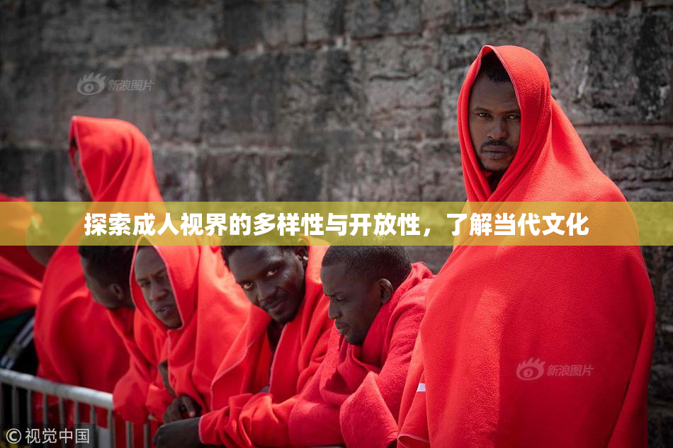 探索成人视界的多样性与开放性，了解当代文化