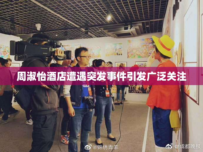 周淑怡酒店遭遇突发事件引发广泛关注