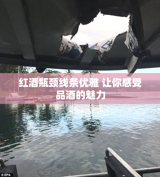 红酒瓶颈线条优雅 让你感受品酒的魅力