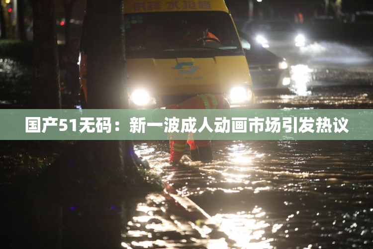 国产51无码：新一波成人动画市场引发热议