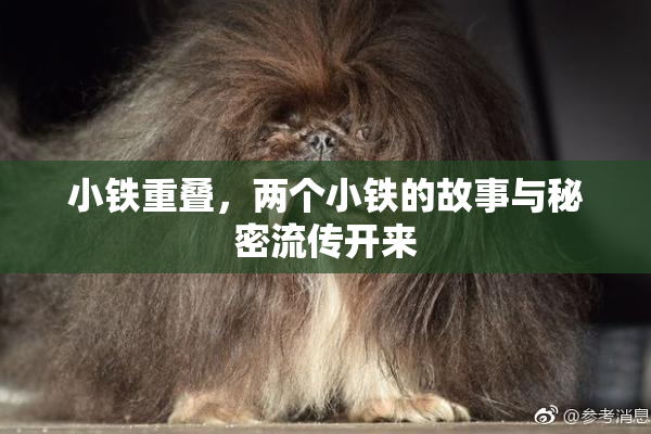 小铁重叠，两个小铁的故事与秘密流传开来