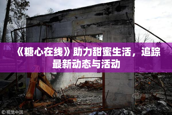 《糖心在线》助力甜蜜生活，追踪最新动态与活动
