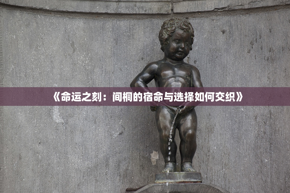 《命运之刻：间桐的宿命与选择如何交织》