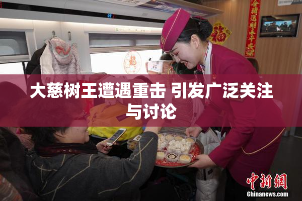 大慈树王遭遇重击 引发广泛关注与讨论