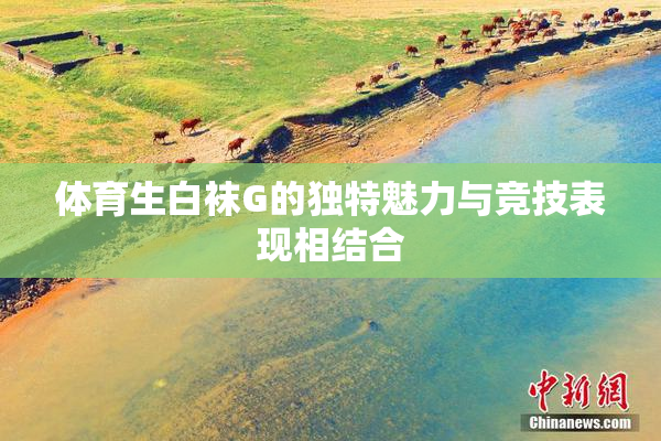 体育生白袜G的独特魅力与竞技表现相结合