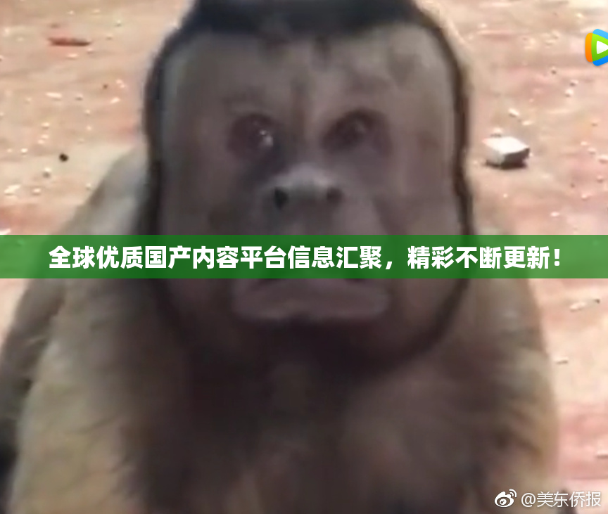 全球优质国产内容平台信息汇聚，精彩不断更新！