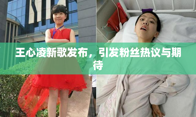 王心凌新歌发布，引发粉丝热议与期待