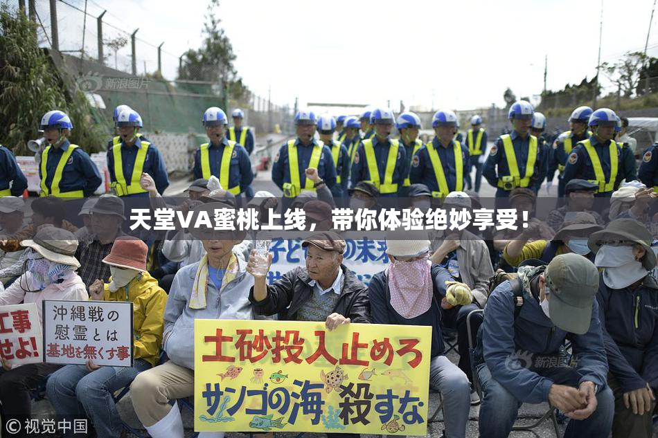 天堂VA蜜桃上线，带你体验绝妙享受！
