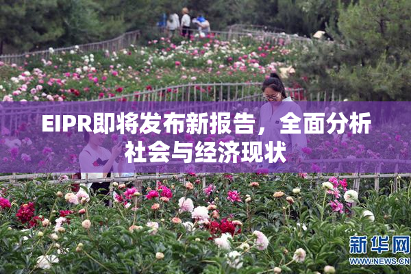 EIPR即将发布新报告，全面分析社会与经济现状
