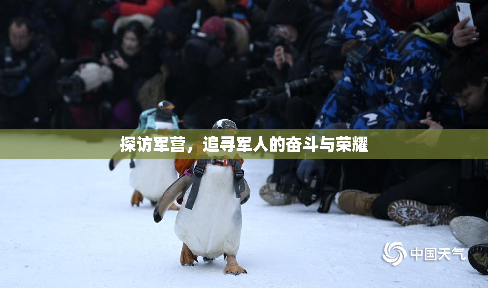 探访军营，追寻军人的奋斗与荣耀