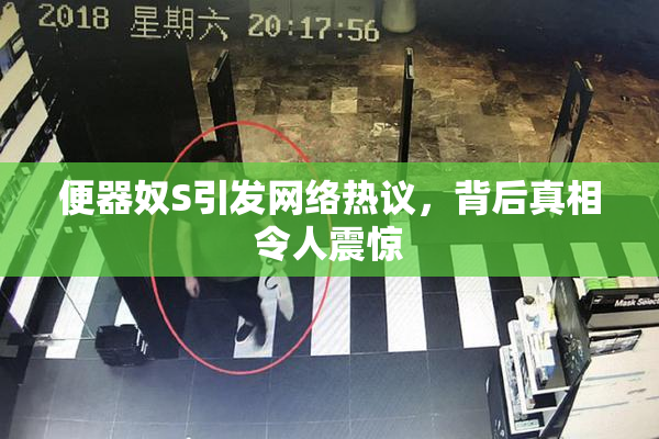 便器奴S引发网络热议，背后真相令人震惊