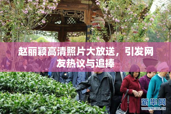 赵丽颖高清照片大放送，引发网友热议与追捧