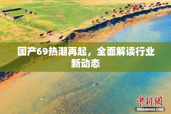 国产69热潮再起，全面解读行业新动态
