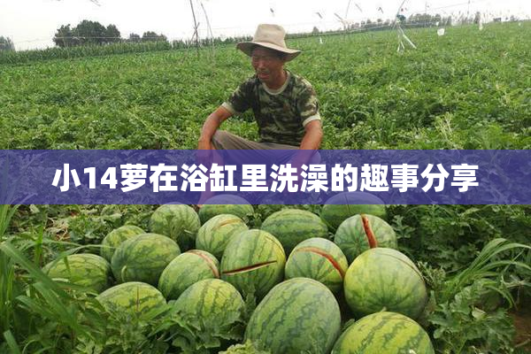 小14萝在浴缸里洗澡的趣事分享