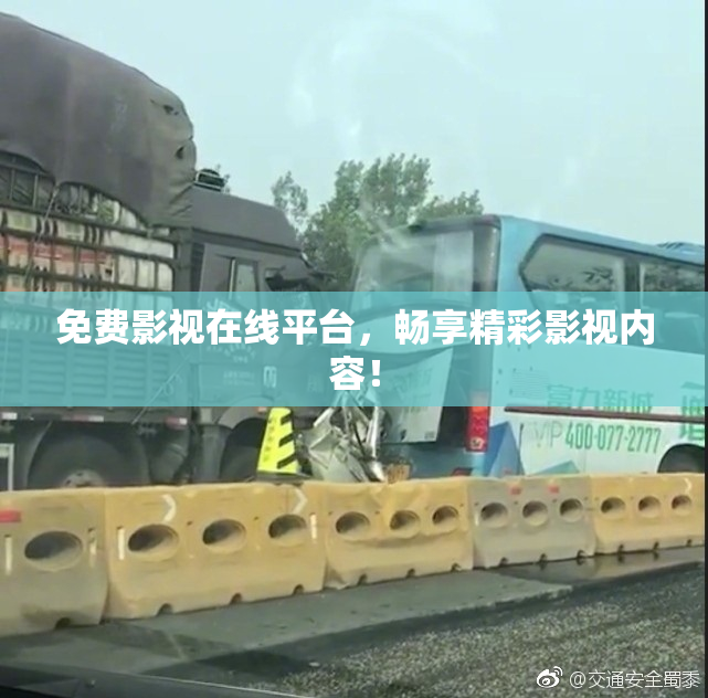 免费影视在线平台，畅享精彩影视内容！