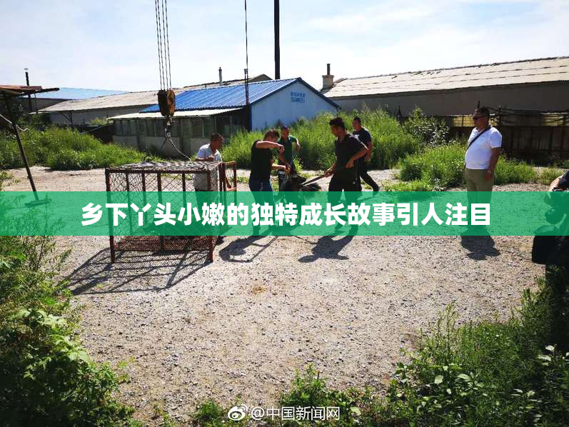 乡下丫头小嫩的独特成长故事引人注目