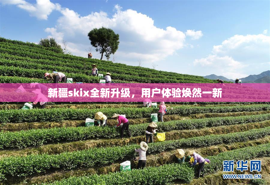 新疆skix全新升级，用户体验焕然一新