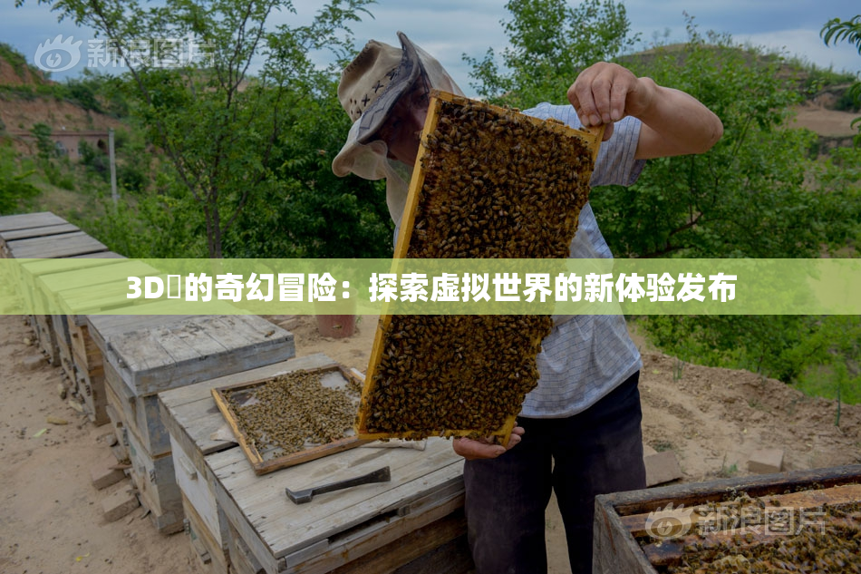 3D姉的奇幻冒险：探索虚拟世界的新体验发布