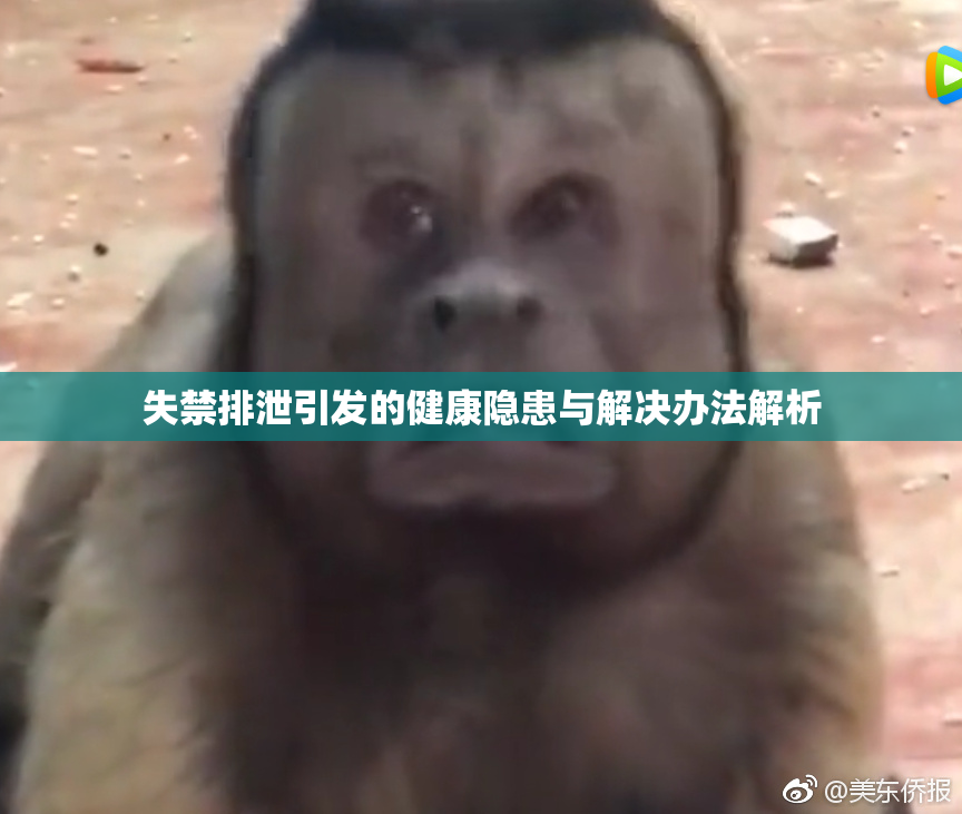 失禁排泄引发的健康隐患与解决办法解析
