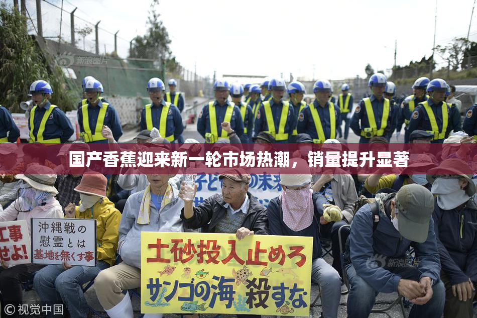 国产香蕉迎来新一轮市场热潮，销量提升显著