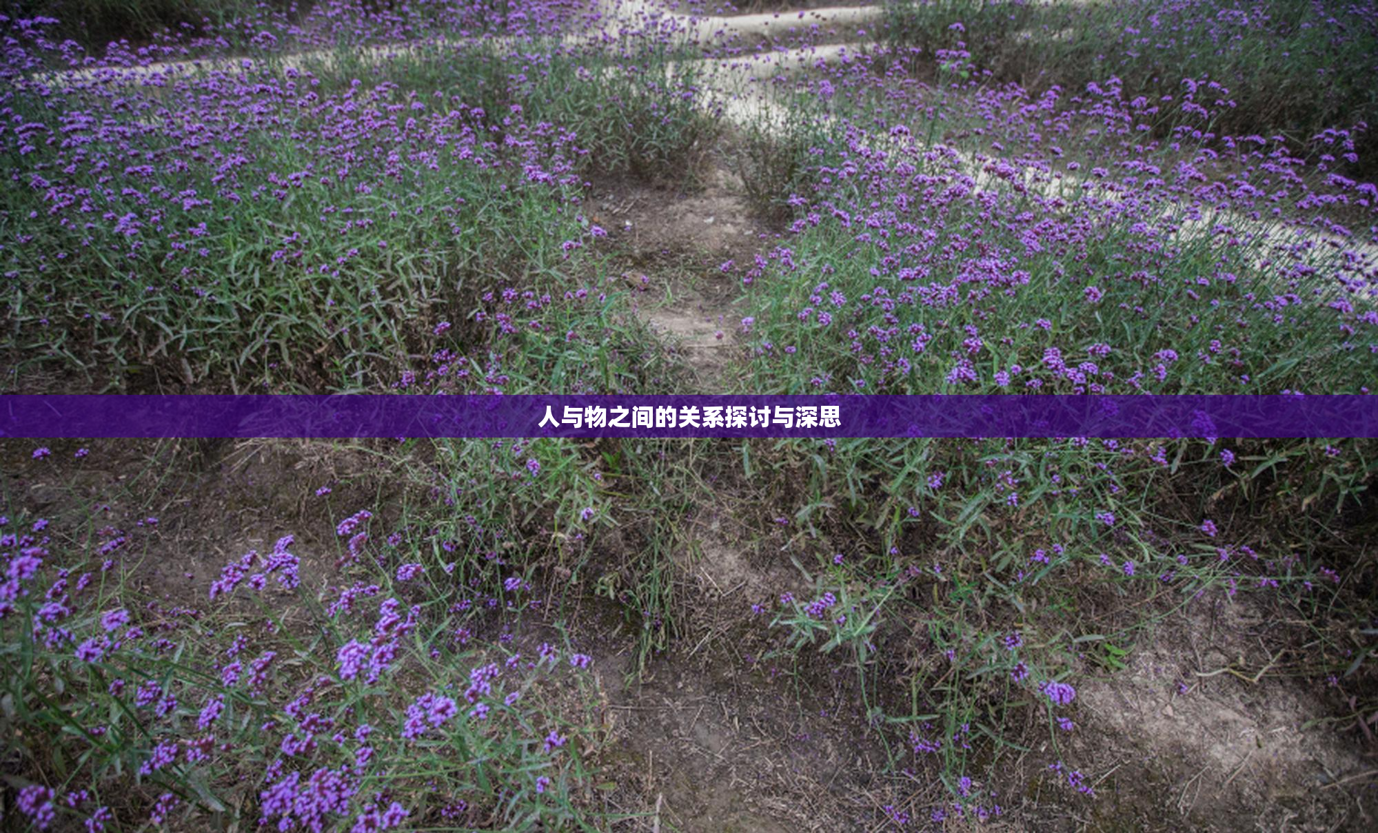 人与物之间的关系探讨与深思