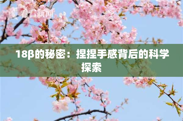 18β的秘密：捏捏手感背后的科学探索
