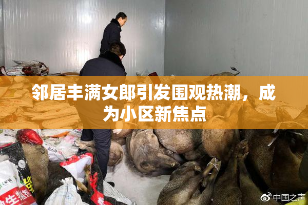 邻居丰满女郎引发围观热潮，成为小区新焦点