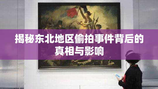 揭秘东北地区偷拍事件背后的真相与影响