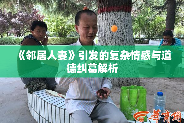 《邻居人妻》引发的复杂情感与道德纠葛解析
