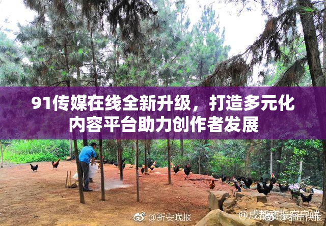 91传媒在线全新升级，打造多元化内容平台助力创作者发展