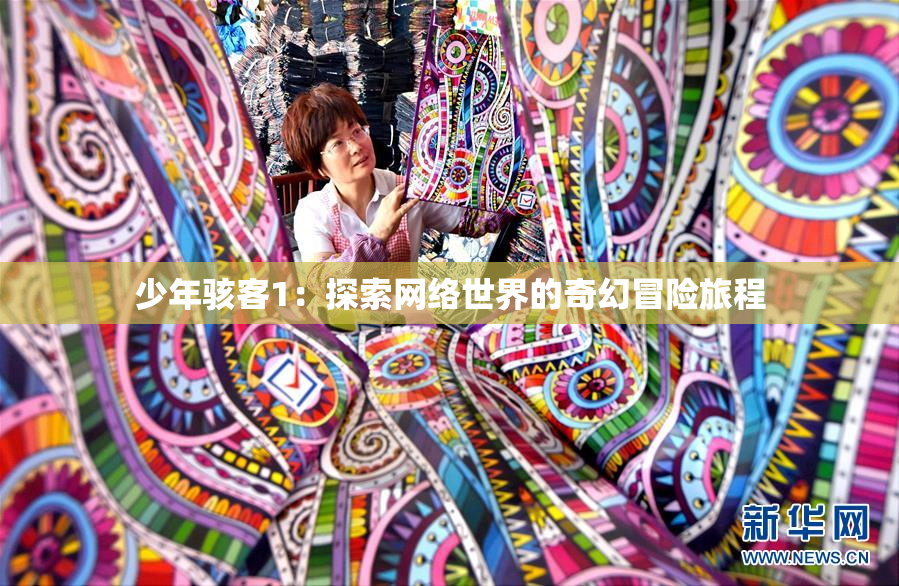 少年骇客1：探索网络世界的奇幻冒险旅程